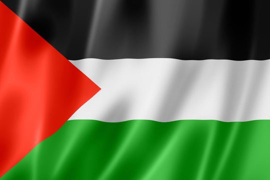 AsianUKNews's tweet image. Does Syria’s flag support Palestine? Its Arab unity symbolism reflects Syria’s long-standing solidarity with Palestine.  #Syria #Palestine #ArabUnity