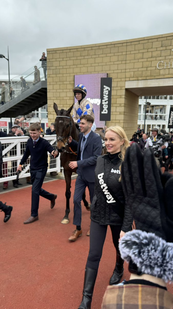 goldcupchelt's tweet photo. @CheltenhamRaces The greatest sporting arena for adrenaline fuelled excitement provided by the most beautiful animals and the bravest humans for our enjoyment. https://t.co/IVYlujS929