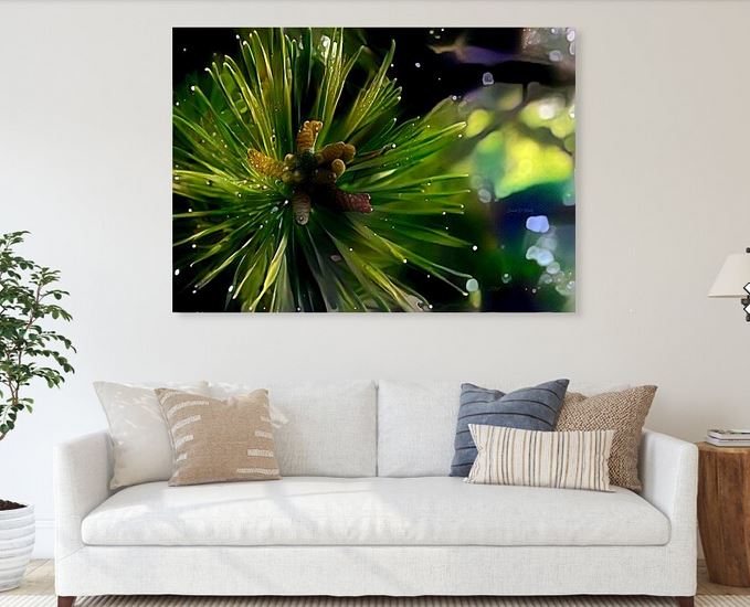 SandiOPhoto's tweet image. Sandi OReilly @sandioreilly
New Pine Cones Close Up&amp;gt; HERE: sandi-oreilly.pixels.com/featured/new-p…
#pine #cones #closeup #photo #grouping #seeds #plants #branch #giftideas #prints &amp;amp; on #products #buyintoart See more #artwork Here:sandi-oreilly.pixels.com/art