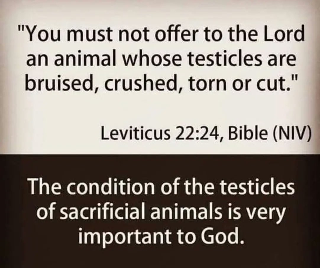 Tori atheist tweet media