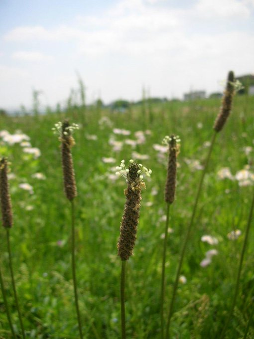 kamisama_kotoba's tweet image. Even if you know nothing now, your Life is worthy of trust.

今何もわからなくとも、あなたの人生は信頼に足ります。
#entrust #委ねる #invisible_force #見えない力