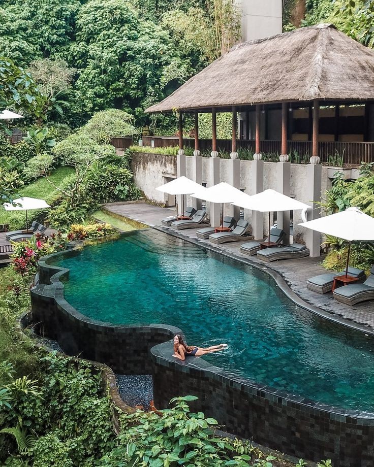 theartofclass24's tweet photo. Amidst the lush greenery of Bali, find your zen at Maya Ubud Resort &amp; Spa. Where luxury meets nature's tranquility. #UbudRetreat #MayaMagic #BaliBliss https://t.co/5ll6bTaoKS
