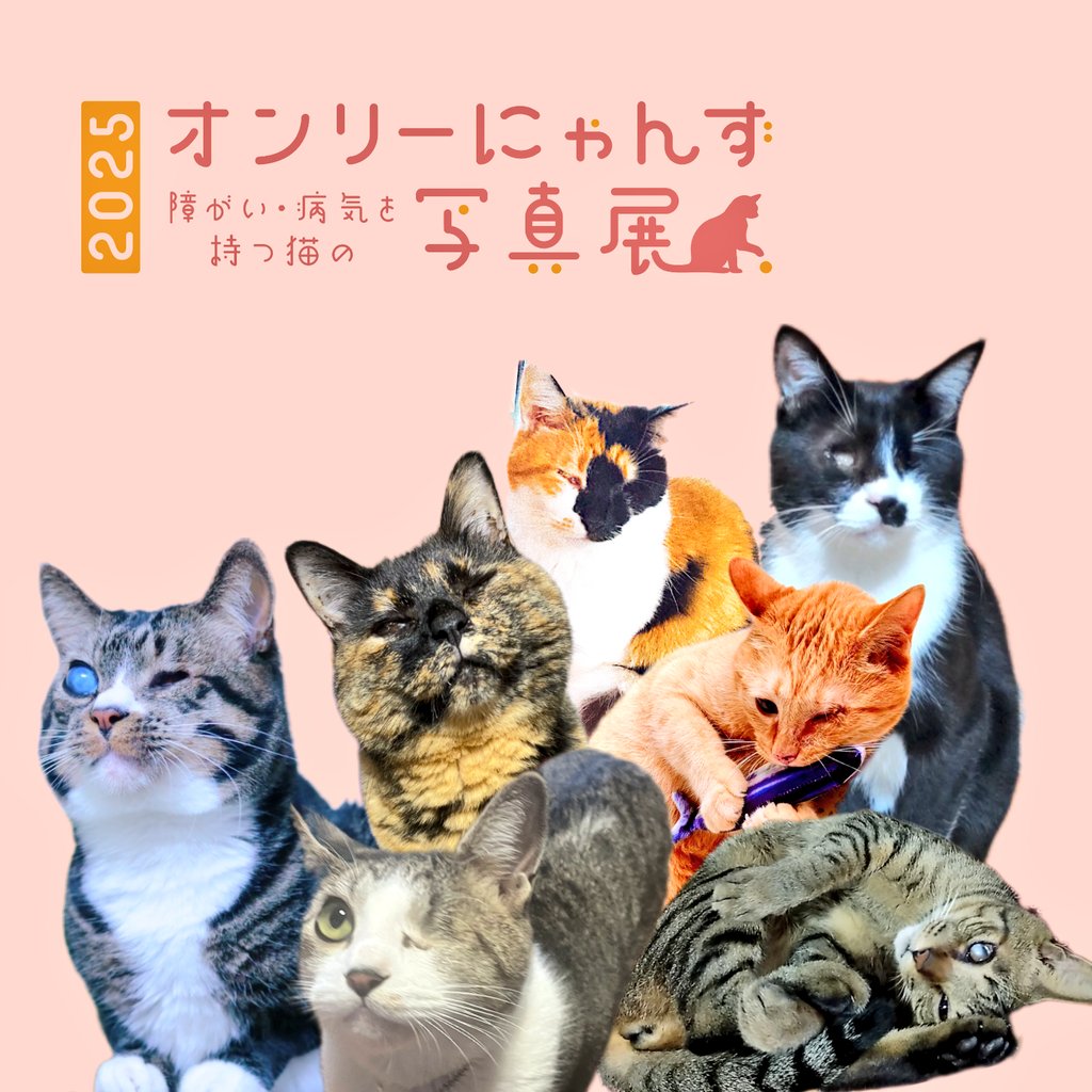 グッズ製作中です✨お楽しみに💕