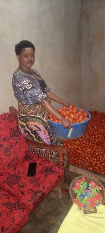 BenjaminNI67317's tweet photo. Good morning Tomatoes farmer.
Would your tomatoes be ready before 25th? Is only Vegetables farmers that will relate.
Stand up for your market update 
If you have tomatoes solution dm for network 

#FeedingTheCommunity
#FoodIsPower
#EndPovert
@YEAN_Agro @JGiramata42263 @GaetanNZ https://t.co/HHMqetZnaA