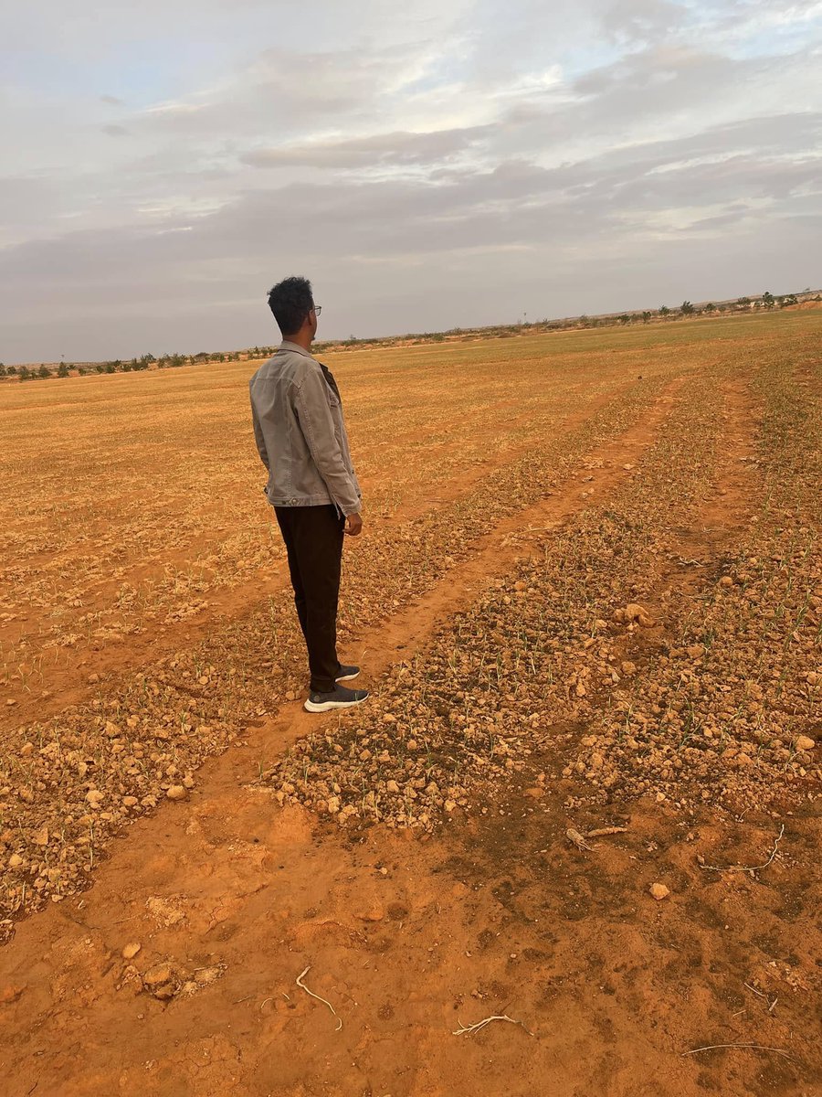 Pivot irrigation system for a new ranch in Garowe.

FB@Hon Ahmed Gas