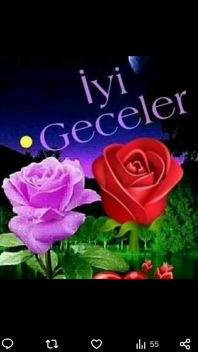 omer463955's tweet photo. Iyi geceler https://t.co/0C8yETqKak