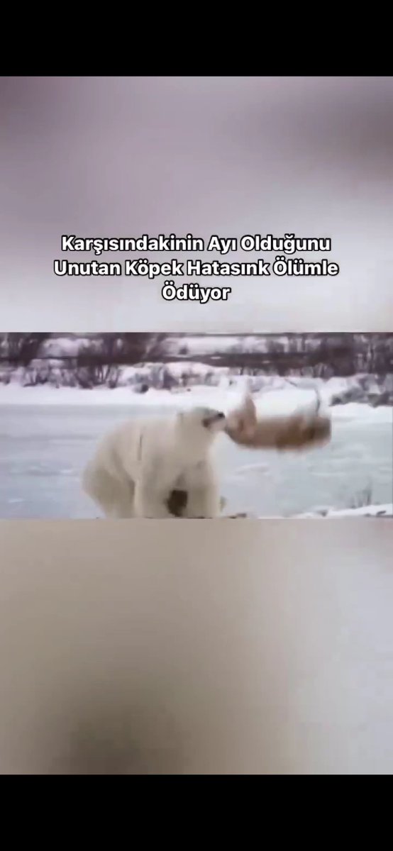 No Context İtperest (taşındık) (@itperest2) on Twitter photo 