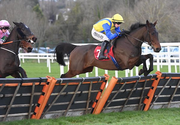 Tattersalls Ireland (@tattersalls_ie) on Twitter photo 👏🏻 November National Hunt Sale graduates One Big Boum wins again <a href="/corkracecourse/">Cork Racecourse</a> for Philip Fenton.
The five-year-old by Buck’s Boum was sold by <a href="/FiveNaughtsStud/">Five Naughts Stud</a> to Gatterstown Stud for €34,000, 👏🏻 November National Hunt Sale graduates One Big Boum wins again <a href="/corkracecourse/">Cork Racecourse</a> for Philip Fenton.
The five-year-old by Buck’s Boum was sold by <a href="/FiveNaughtsStud/">Five Naughts Stud</a> to Gatterstown Stud for €34,000,
