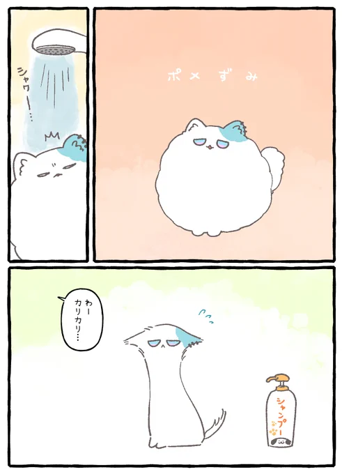 ポ…
#きょうのまゆずみ  #灰画 