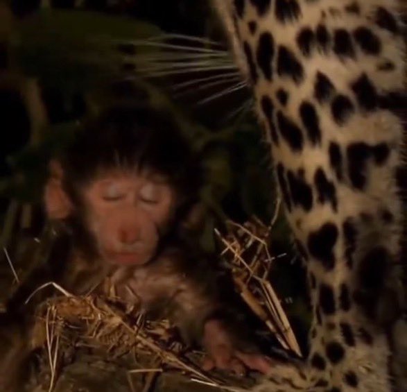 “JUDGE
JURY
EXECUTIONEEERRR”