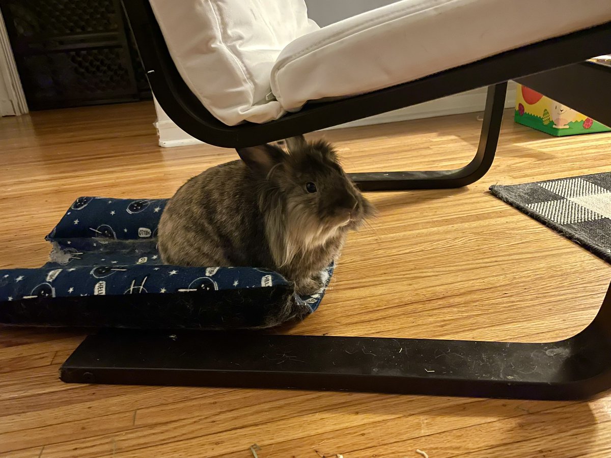 Harlez188's tweet photo. Welcome home. Now can you fix my bed? https://t.co/EjIirojMQO