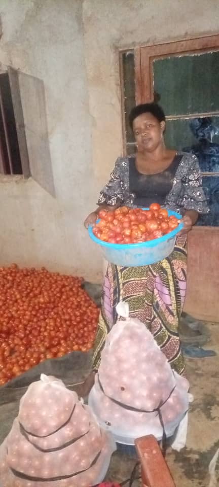 BenjaminNI67317's tweet photo. Good morning Tomatoes farmer.
Would your tomatoes be ready before 25th? Is only Vegetables farmers that will relate.
Stand up for your market update 
If you have tomatoes solution dm for network 

#FeedingTheCommunity
#FoodIsPower
#EndPovert
@YEAN_Agro @JGiramata42263 @GaetanNZ https://t.co/HHMqetZnaA