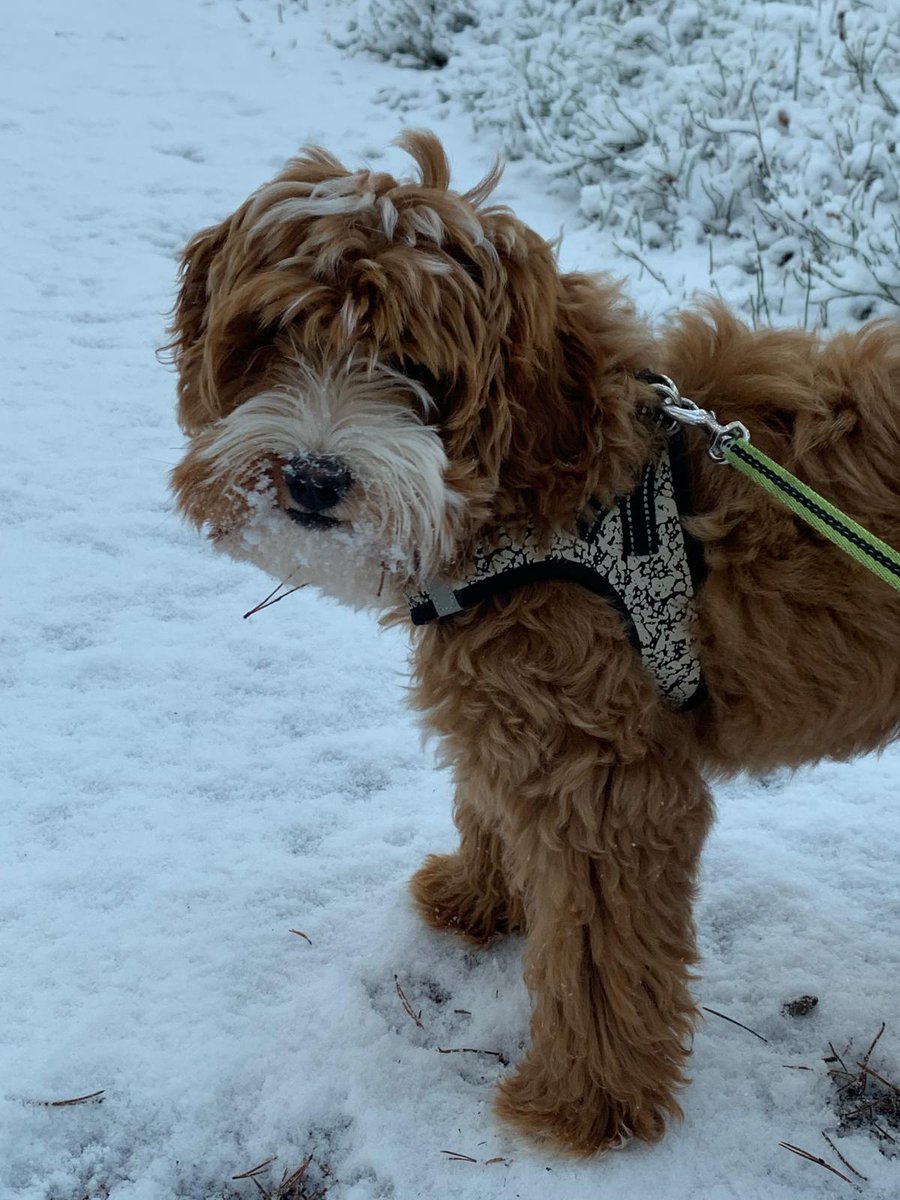 Floramonue's tweet photo. She's gotten so much bigger over the months https://t.co/l09K3hTxhx
