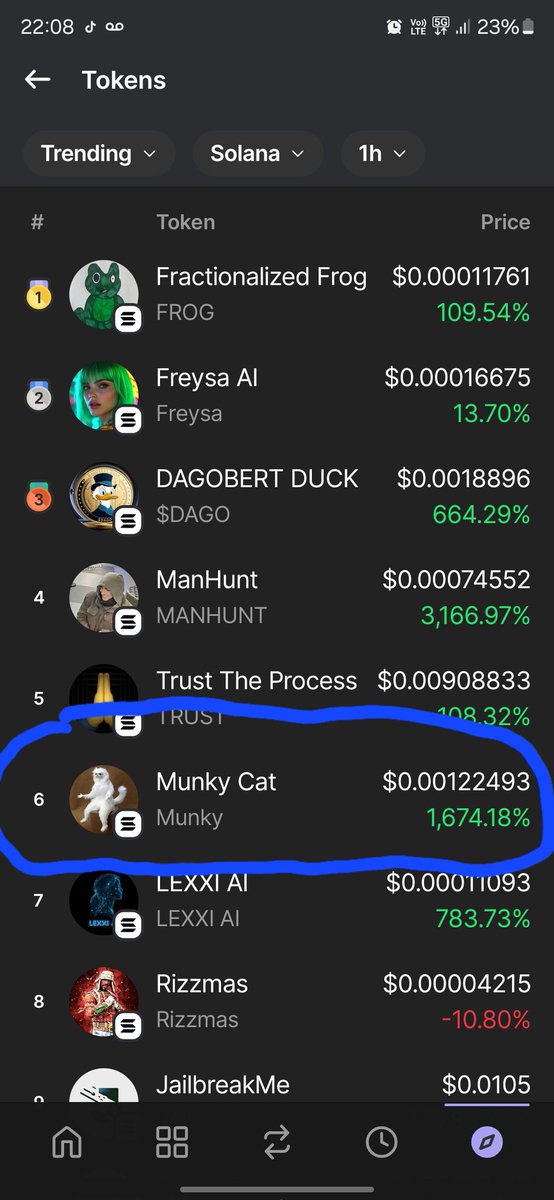 Climbing the ranks munky cat