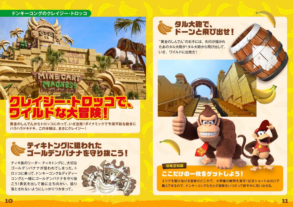 ドンキー コング タル 全体的に状態が悪い ドンキーコング タルたる