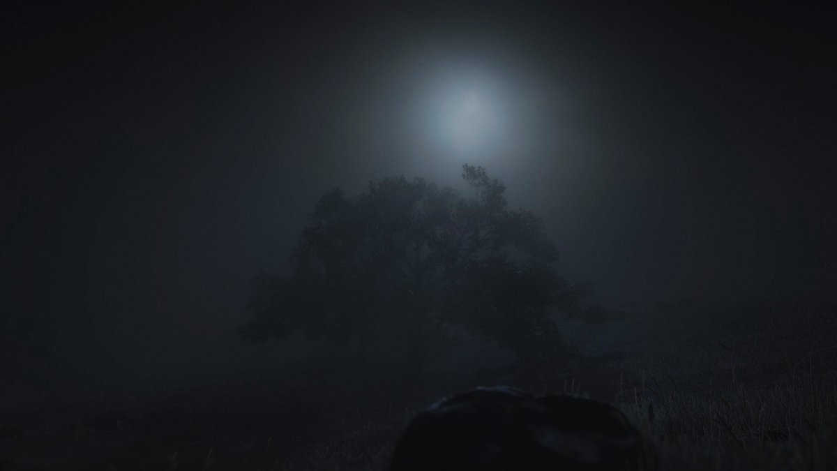 Red Dead Redemtion 2  

#VirtualPhotography #VGPUnite #VPcontext #WorldOfVP #VPRT #ThePhotoMode #LandofVP #RedDeadRedemption2 #RedDeadRedemption #RedDeadOnline #rdr2