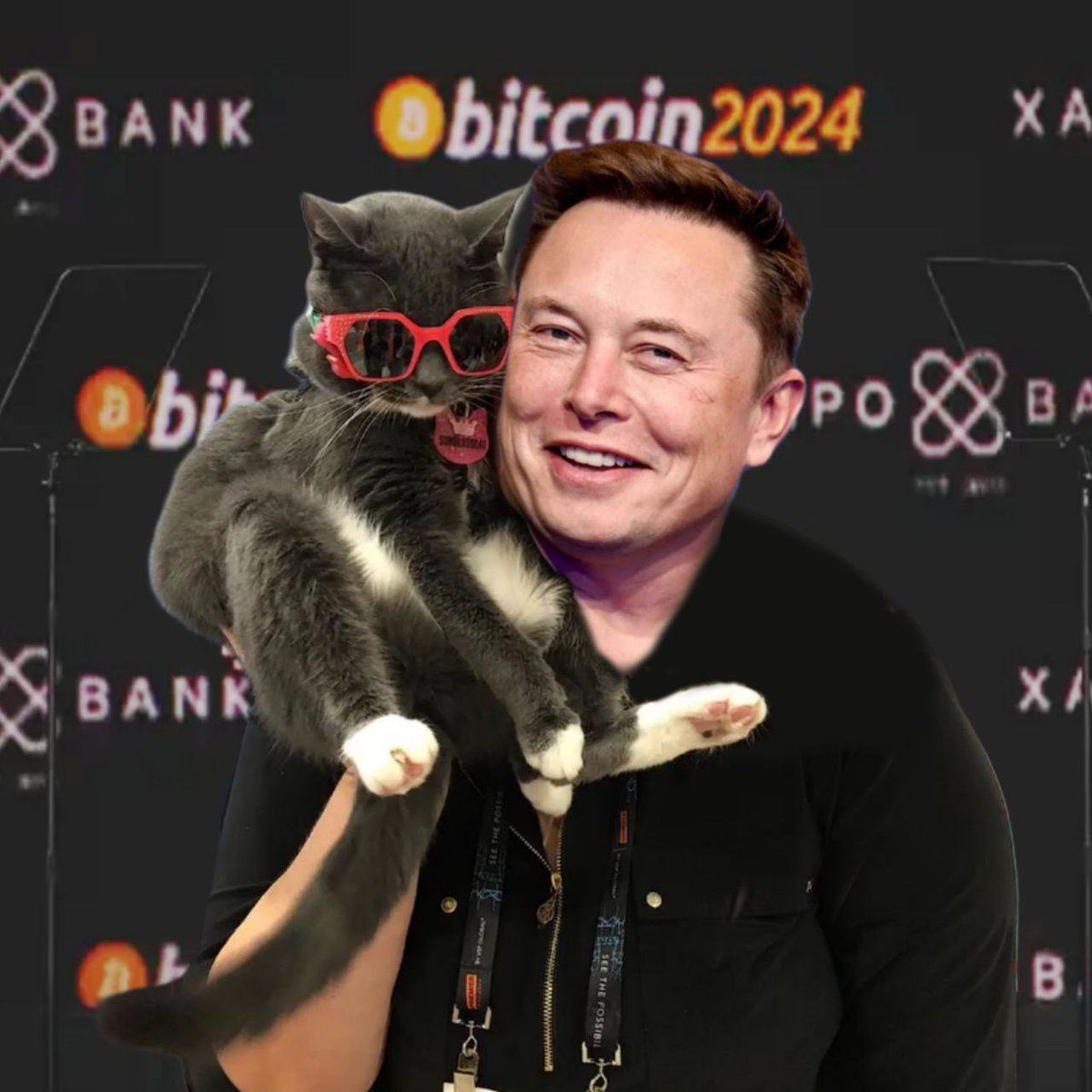 BageLCatSol's tweet photo. When $BAGEL teams up with the biggest names in tech, you know the moon is just a pit stop. 🚀🐾 #Crypto #ToTheStars #BAGEL #ElonMusk 
#SOLANA https://t.co/byIFCzonEo