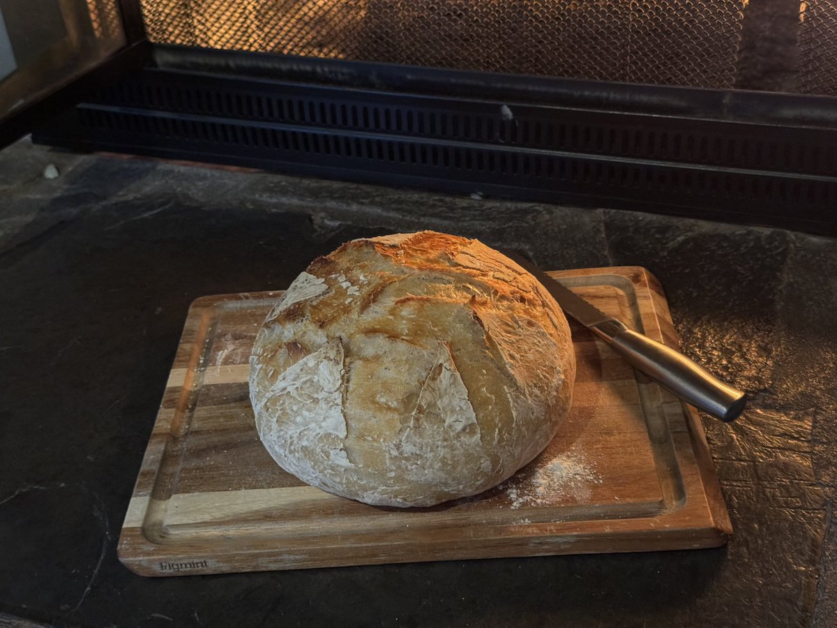 hmplantbasedgod's tweet photo. anyway im a sourdough hough now https://t.co/m010xGpI7t