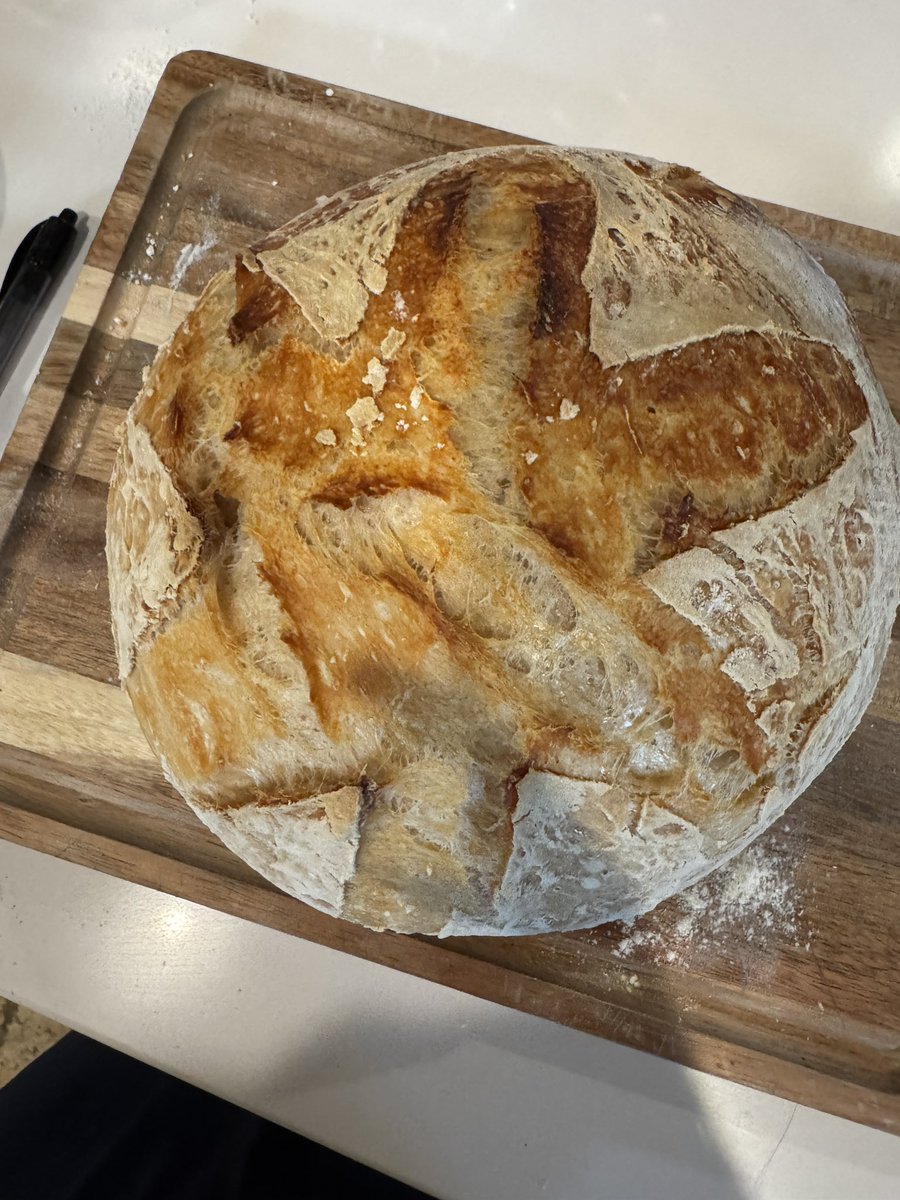 hmplantbasedgod's tweet photo. anyway im a sourdough hough now https://t.co/m010xGpI7t