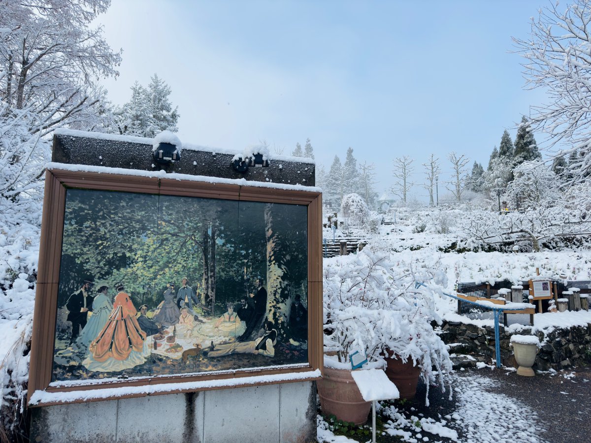 garden_museum's tweet photo. 【比叡山・京都・花】昨日からの降雪により、本日の比叡山頂は銀世界❄️となりました。今年の冬は例年より早く積雪となり、これからの庭作業が遅れそうで心配😅
#雪 #比叡山 #snow https://t.co/VLKBOM5Jfg