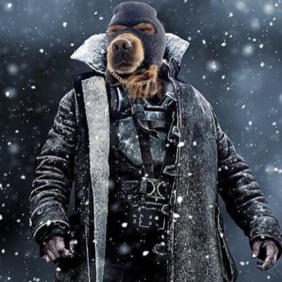 CtraderB's tweet image. #NewProfilePic