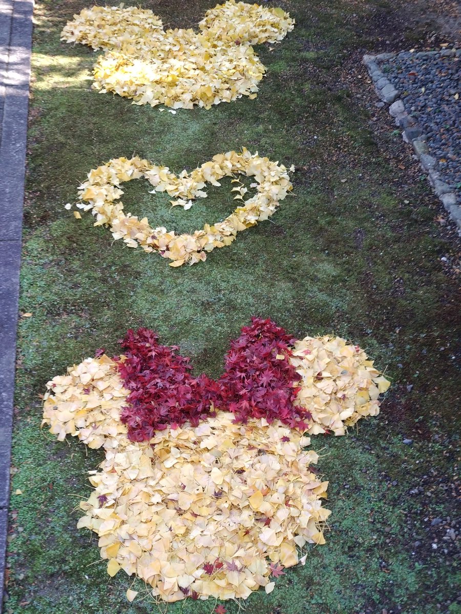 イチョウ落ち葉アート第二弾！

隣接の大井小学校向けアート。
ミッキー♡ミニー♪
校舎から見えるように制作してあります。

#亀岡市 #大井神社 #鯉明神 #イチョウ #落ち葉アート #宮司画 #ミッキー #ミニー