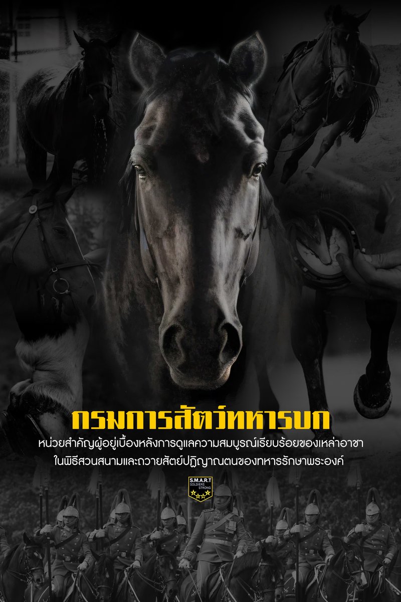 PackSquadron's tweet photo. หนึ่งสิ่งที่ยิ่งใหญ่และเป็นความภาคภูมิใจ
อย่างหาที่สุดมิได้..ของเหล่าทหารการสัตว์
” กรมการสัตว์ทหารบก “ อีกหนึ่งหน่วยสำคัญที่อยู่เบื้องหลัง
ในการดูแลความสมบูรณ์เรียบร้อยของเหล่าอาชาในกอง
ทหารม้าเกียรติยศในพิธีสวนสนามและถวายสัตย์
ปฏิญาณตนของทหารรักษาพระองค์

#กรมการสัตว์ทหารบก https://t.co/ycNTJYu13I