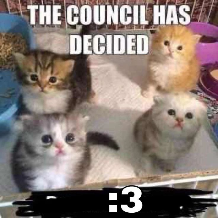 Punch Cat (@punchingcat) on Twitter photo 