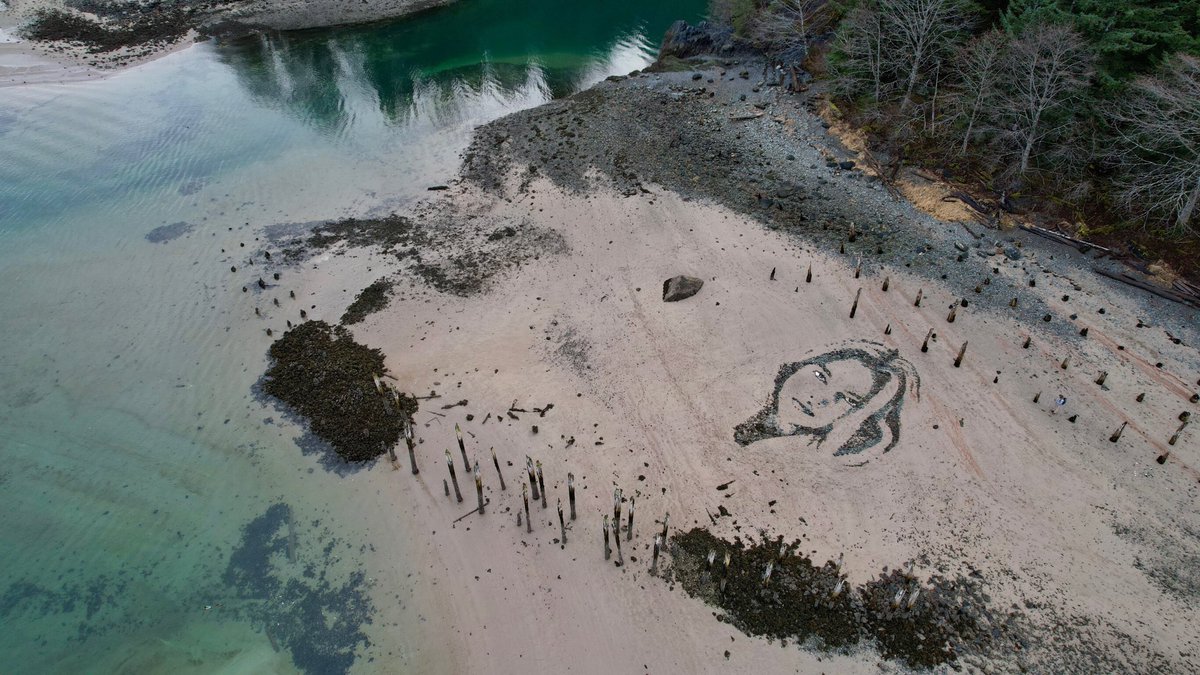blake_byers's tweet photo. 58°16.123’N  134°22.445’W 

#landart #earthart #blakebyersart https://t.co/UKAx60J0zv