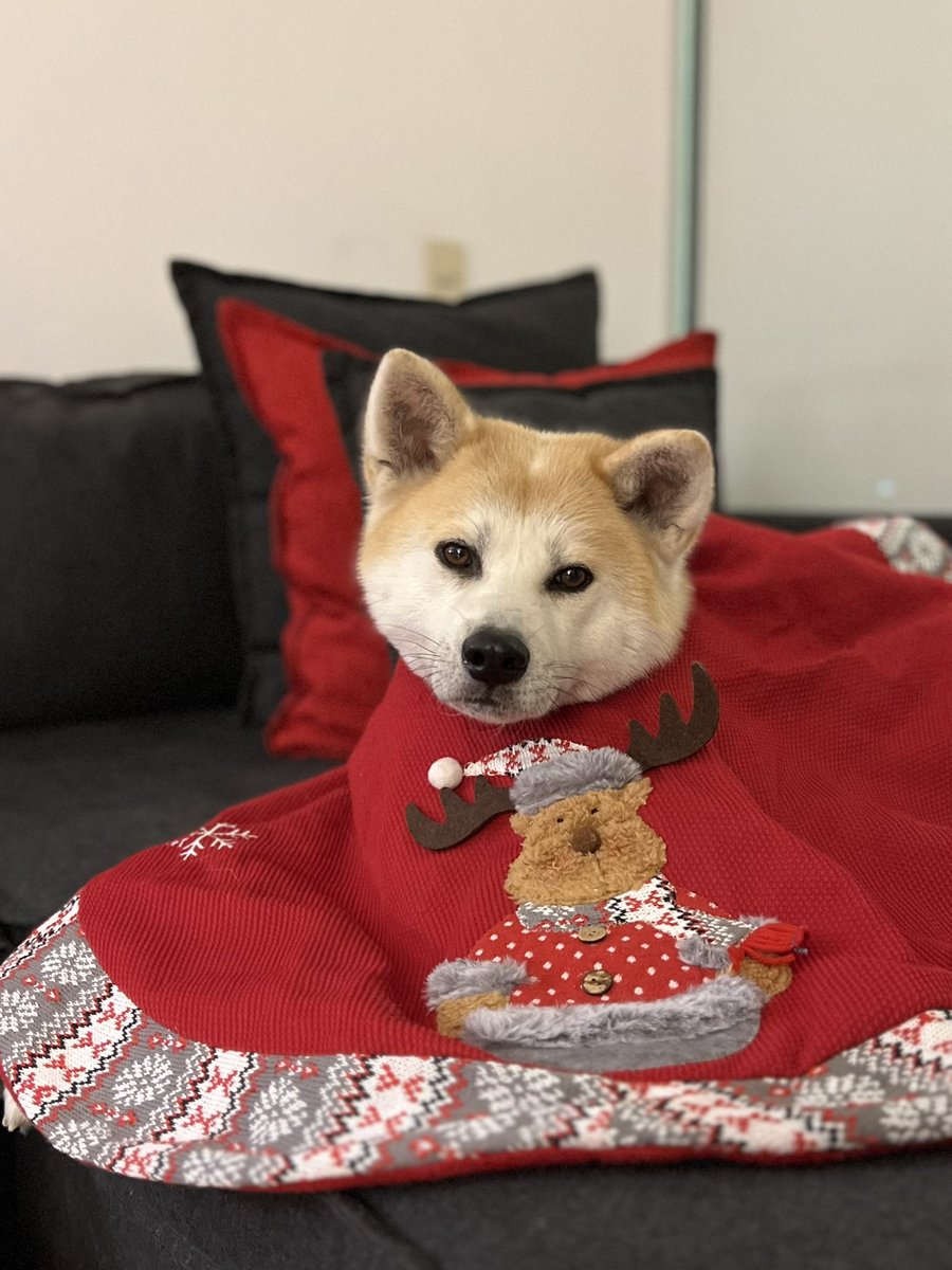 Ana Bezaury tweet media