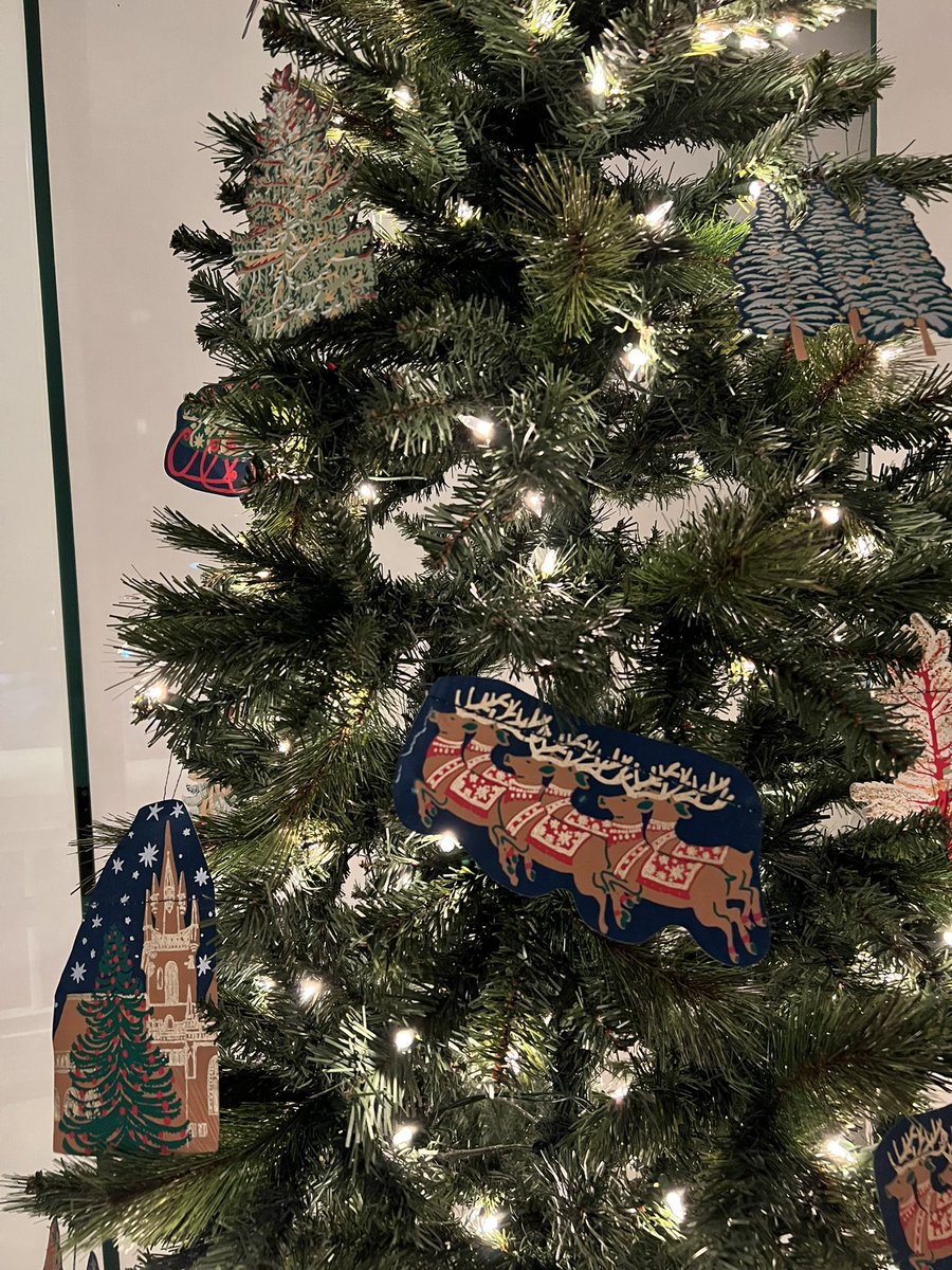 Ana Bezaury tweet media