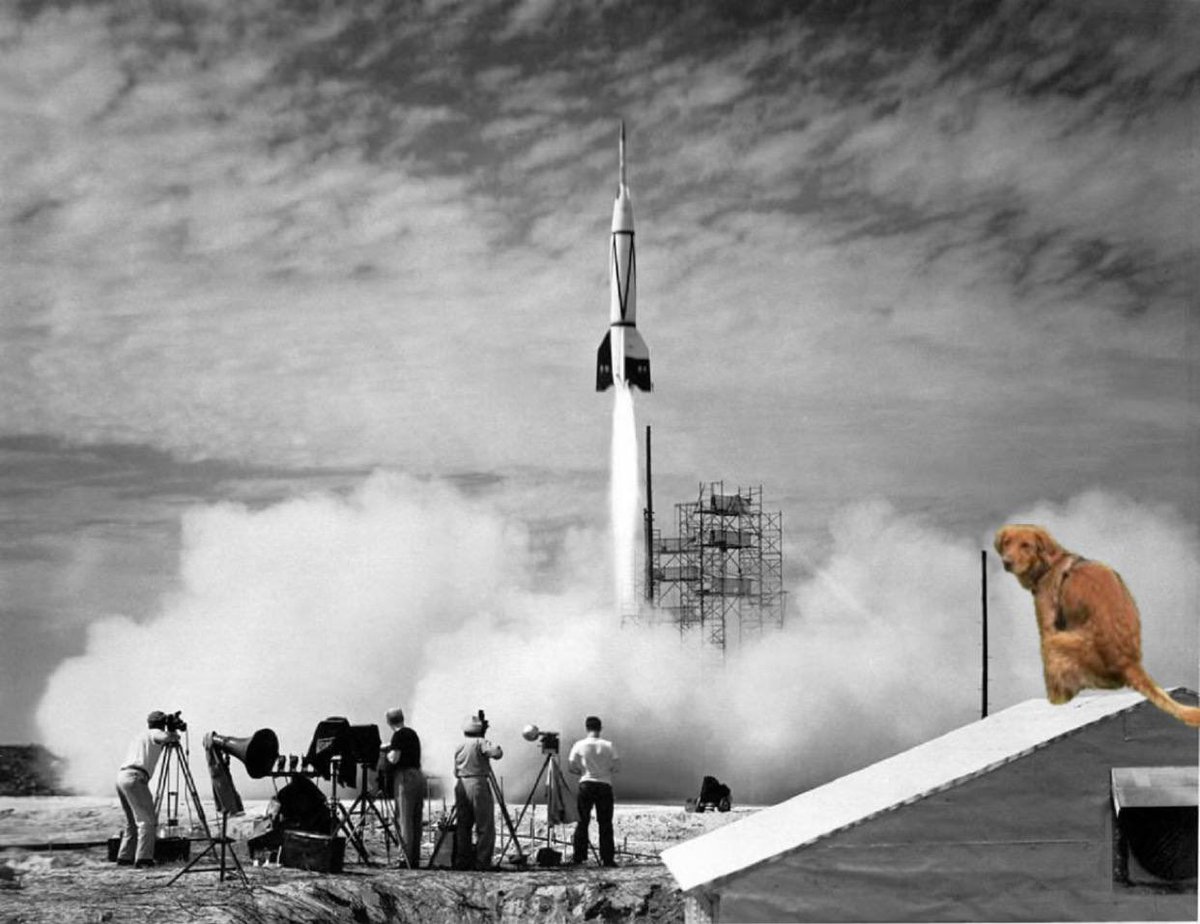 poopermemecoin's tweet photo. @macs2702 @cryptolyxe $POOPER CTO taking this to the moon https://t.co/P3yaeLjiuG