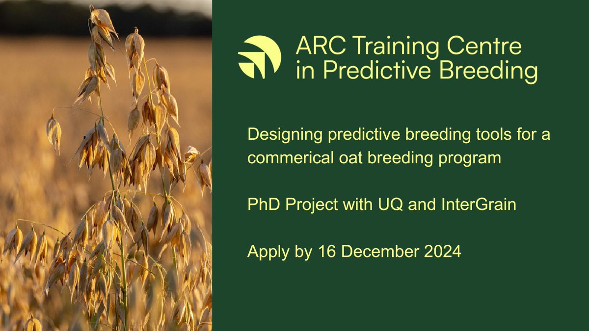 Lee Hickey (@drhikov) on Twitter photo I'm looking for a new PhD student to work with industry to advance predictive breeding methods
Project team includes myself, Dr <a href="/HannahMRobin/">Hannah Robinson</a> and Dr <a href="/AllanRattey/">Allan Rattey</a> in partnership with <a href="/InterGrain1/">InterGrain</a>
➡️bit.ly/3Vl7K27 I'm looking for a new PhD student to work with industry to advance predictive breeding methods
Project team includes myself, Dr <a href="/HannahMRobin/">Hannah Robinson</a> and Dr <a href="/AllanRattey/">Allan Rattey</a> in partnership with <a href="/InterGrain1/">InterGrain</a>
➡️bit.ly/3Vl7K27