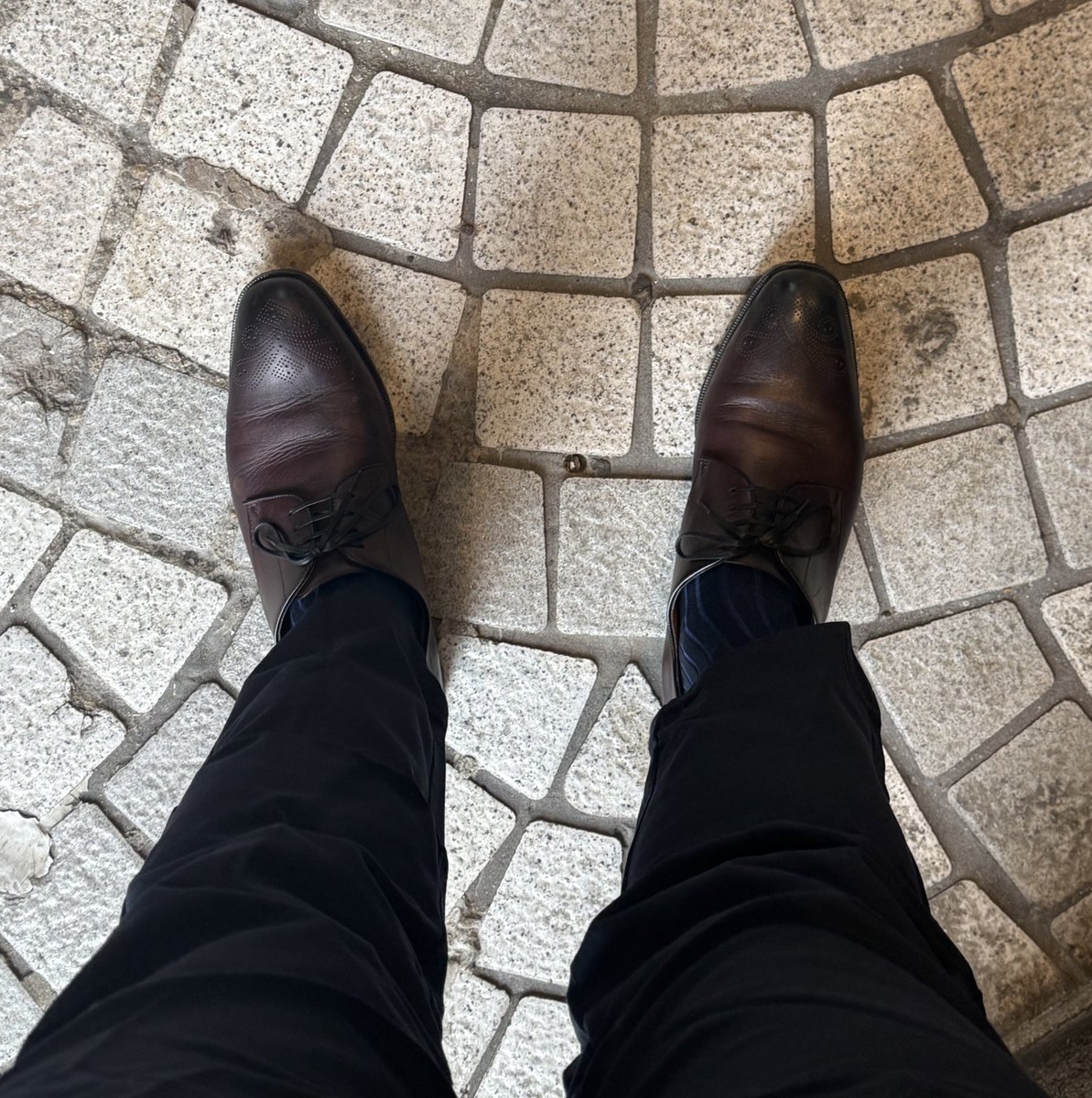 貓寶Dede tweet media