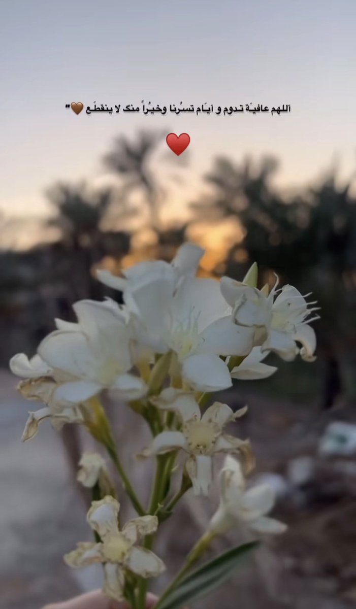 Fatma_9i's tweet photo. وبك أصبحنآ ي الله 🕊
اللهُم خير الحياة وخير الأشخاص وخير الأيام وخير الدروب وأجملها .. ღ
ويا رب  قيد ملامح أيامنا بالسلام والهدوء ، واجعلها كالسلسبيل الذي يسقي ويروي دون ان يؤذي .. 🌱

صباح الخير https://t.co/0Tl8oAlPcH