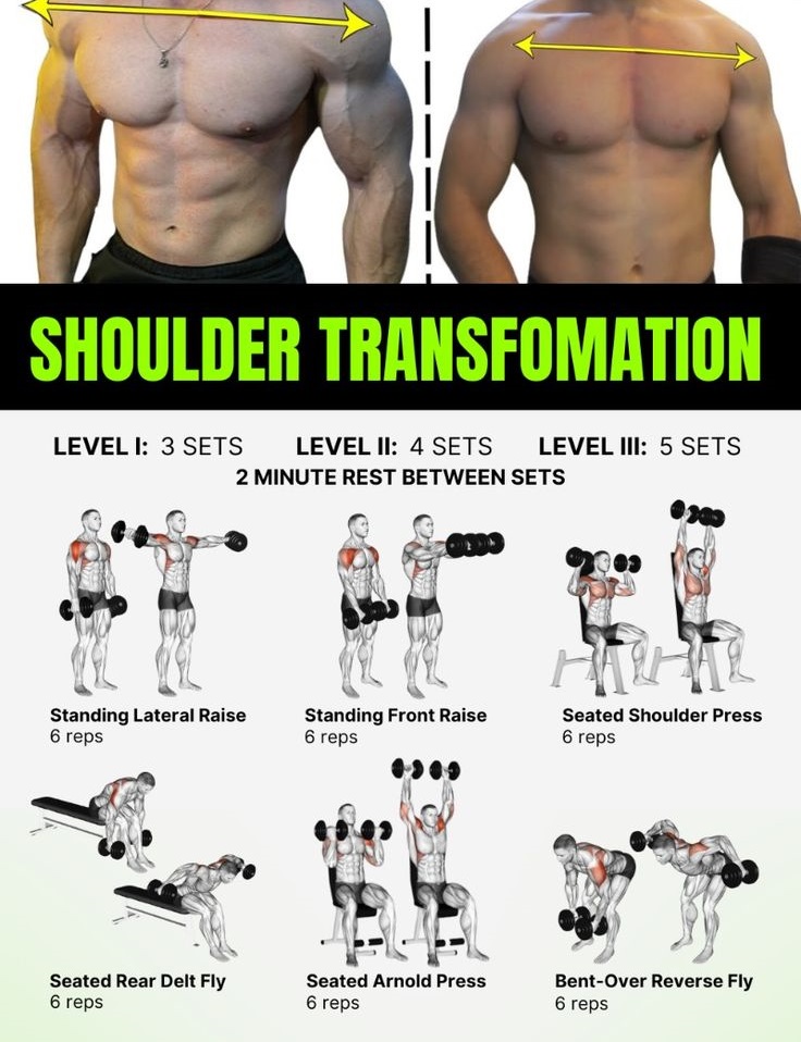 FitnessGuide0's tweet photo. Transform Your Shoulders: Top Workouts for Men https://t.co/6yqYwslOVA