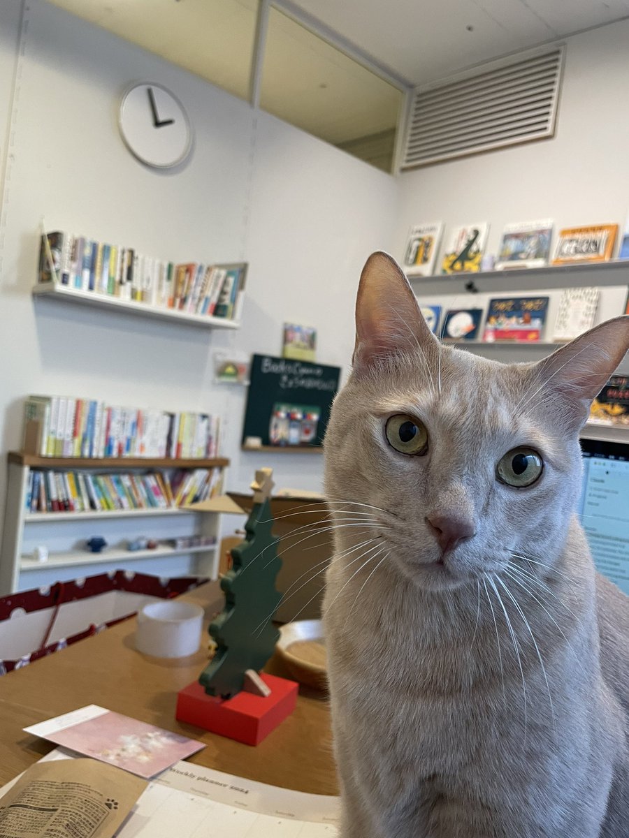 yumi_hyfielde's tweet photo. 昨日から絵本屋さん再開しました🎉

クリスマスのギフトにぴったりな絵本をたくさんご用意しておりますとで、みなさまぜひ遊びにいらしてください🎄

https://t.co/RfjmiWICGo https://t.co/hi6CE7A2r3