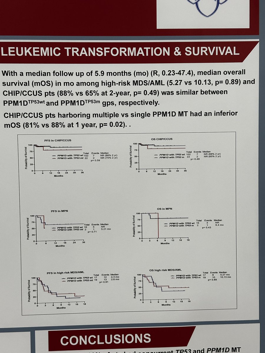 TalhaBadarMD's tweet photo. #ASH24 #Poster_session #PPM1Dm myeloid neoplasm: clonal characteristics and outcome with or without #TP53m #leusm #mdssm @MrinalPatnaik @MayoCancerCare @MayoCancerCare 1/2 https://t.co/cFw3cKLC6u