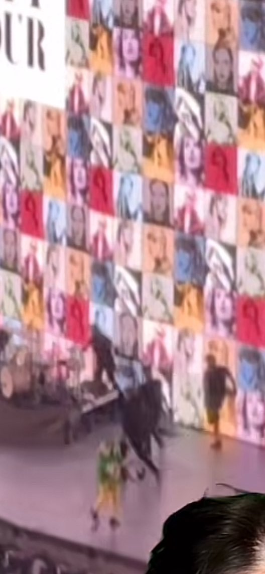 icievia's tweet photo. BUDDY THE ELF IS ON STAGE. #VancouverTSErasTour #TSTheErasTour https://t.co/Ny8bR7b7BR