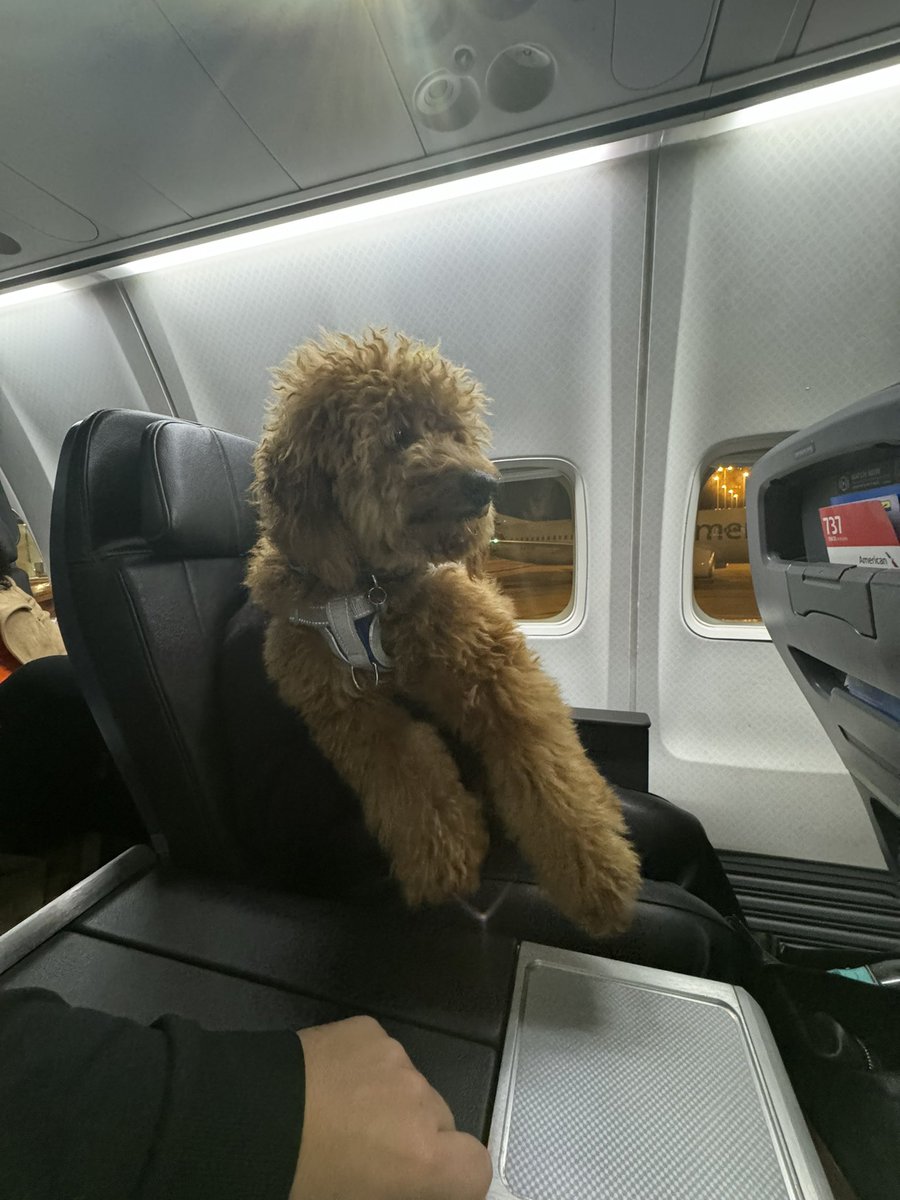 Brian Entin tweet media