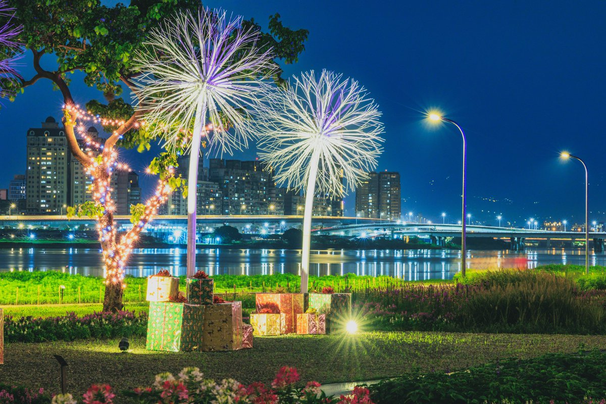 NOTICIASTaiwan's tweet photo. Un paseo por el mar de flores del Parque Ribereño de Yanping en la ciudad de #Taipéi es muy romántico cuando se encienden las lámparas que parecen dientes de león y los senderos se iluminan con luces de colores.
📸Oficina de Ingeniería Hidráulica de la Ciudad de Taipéi https://t.co/utF22ZSEzt