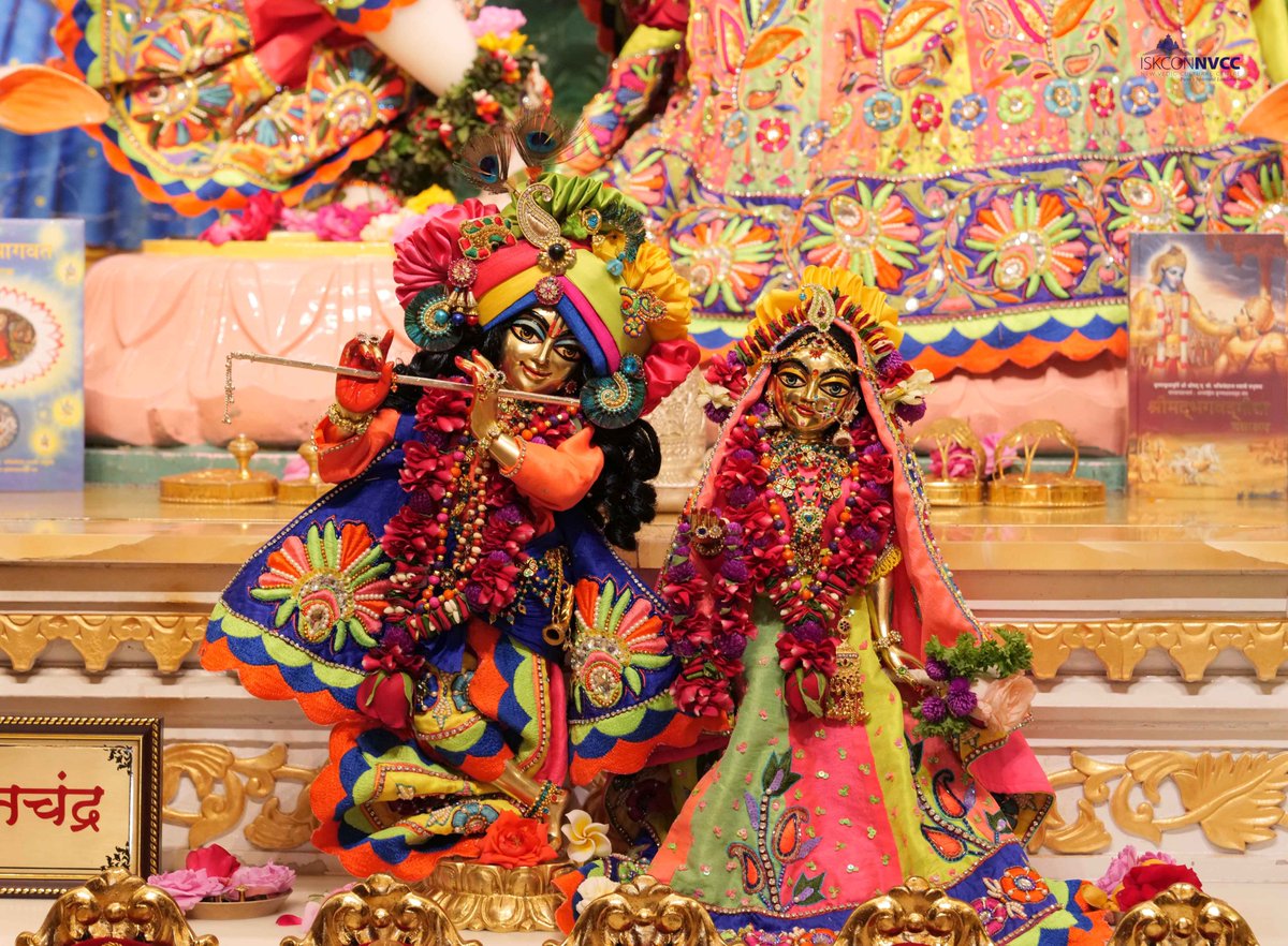 🙏🏽Today's Darshan 📿 🗓09-12-2024🙏
🌷Sri Sri Radhavrindavanchandra🌷
🚩@ISKCONNVCCPune🚩
.
.
#ISKCONNVCC #ISKCONPune #ISKCONNVCCPune #ISKCON #9thdecember #9thdecember2024 #Monday #Harinaamsankirtan #Radheshyamdas #Radheradhe #Sankirtan #Kirtan #Vrindavan #Mayapur #Prabhupada