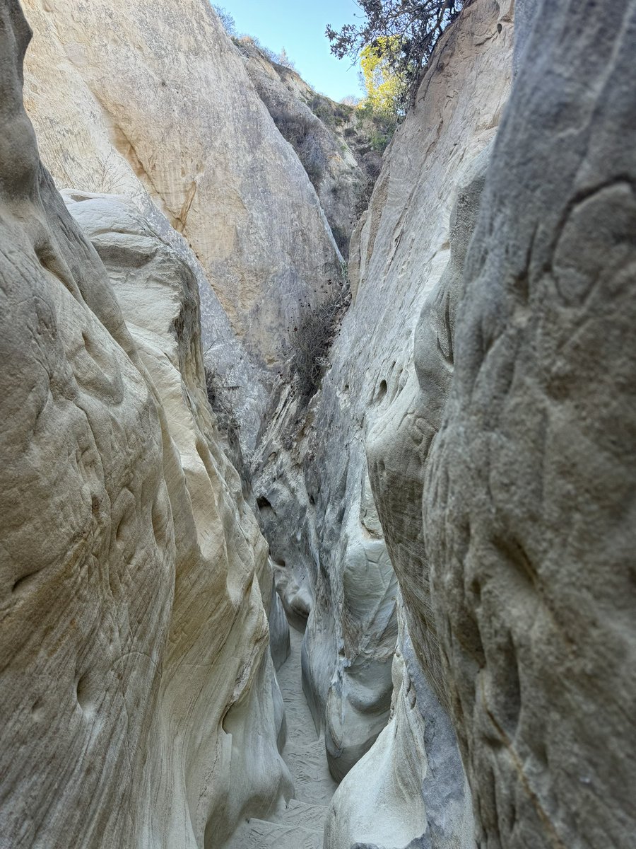 Praveen D. Chatani, MD tweet media