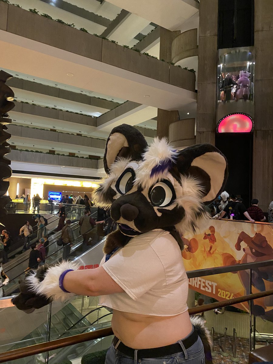 ASneplynx's tweet photo. Taking in the grand lobby views with @EnigmaPaladin #MFF https://t.co/DcG2uXO4GY
