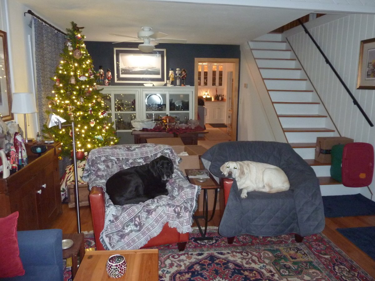 Holiday decorations are very tiring. We's zorsted.
