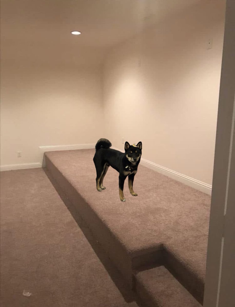 Josie F. Badman tweet media