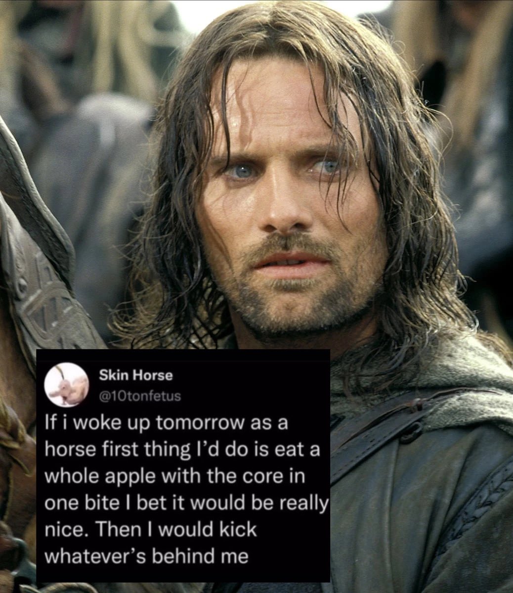 here are some more posts that remind me of tolkien characters 🧵