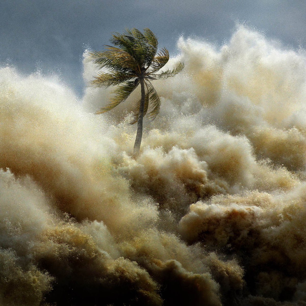 Extraordinary program 'Tsunami: Race Against Time' by <a href="/NatGeo/">National Geographic</a> on Netflix commemorating 20 years since the 2004 Indian Ocean tsunami using unseen archive video &amp; stories - deeply harrowing to watch but a stark reminder of the life saving value of #warnings natgeotv.com/uk/shows/natge…