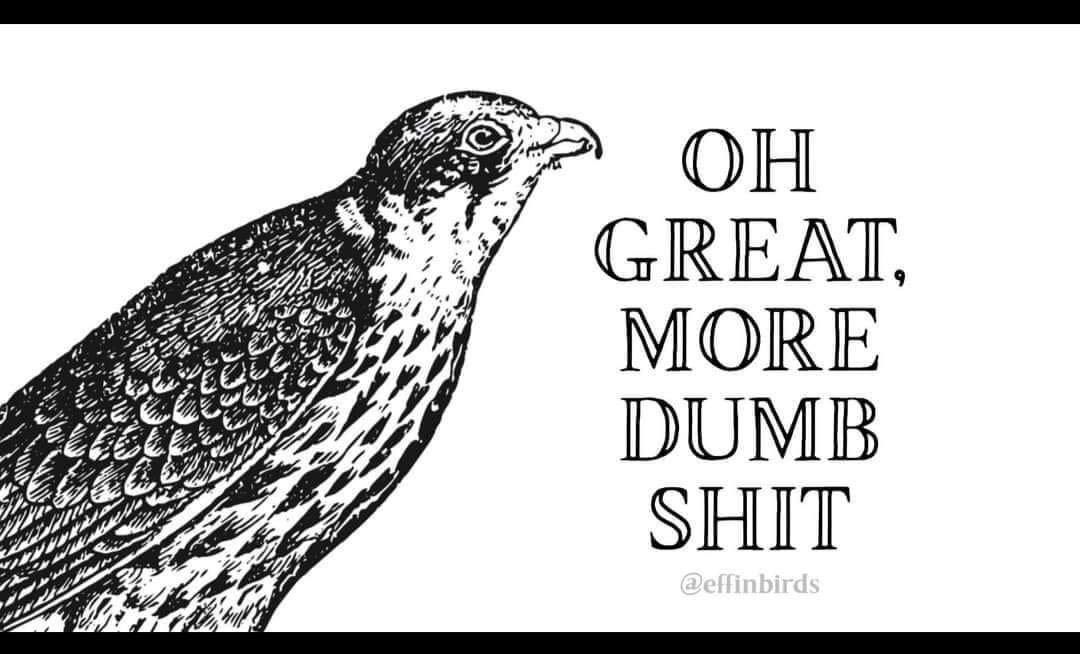 CapCatastrophe6's tweet photo. @LouiseThemis @GenMhayden https://t.co/BQYwJOL04q