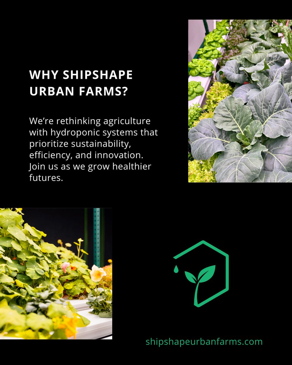 Shipshape Urban Farms tweet media